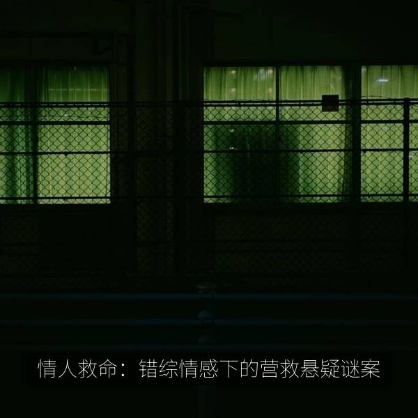 情人救命：错综情感下的营救悬疑谜案 相关推荐