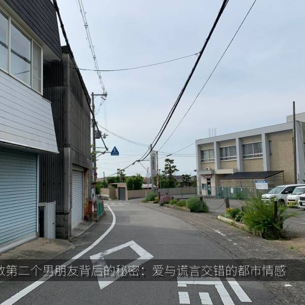 倒数第二个男朋友背后的秘密：爱与谎言交错的都市情感 相关推荐